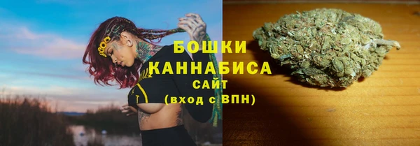 ПСИЛОЦИБИНОВЫЕ ГРИБЫ Баксан