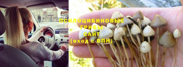 ПСИЛОЦИБИНОВЫЕ ГРИБЫ Баксан
